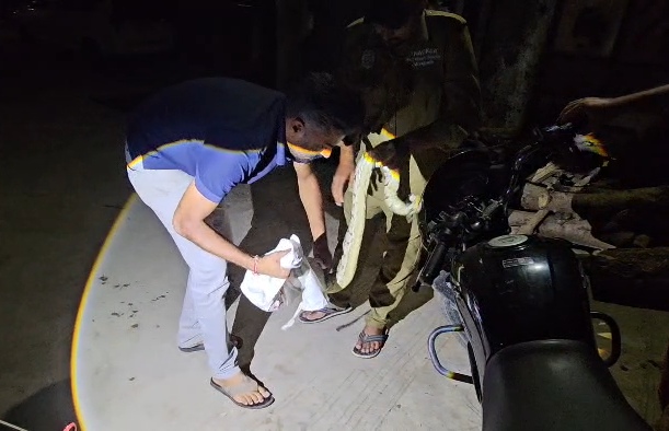 Python Rescued in Junagadh | Forest Dept Relocates Snake Safely