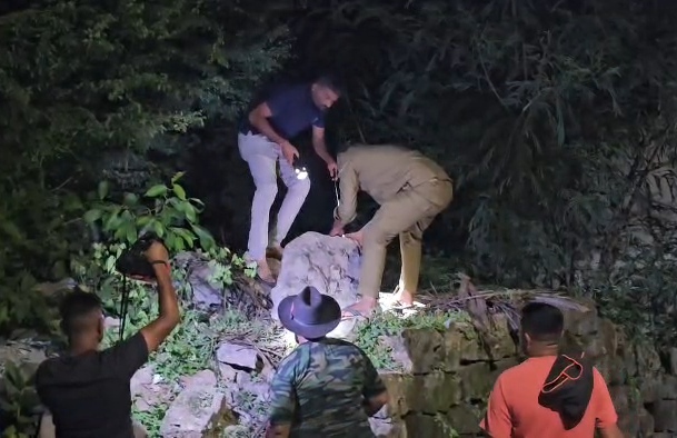 Python Rescued in Junagadh | Forest Dept Relocates Snake Safely