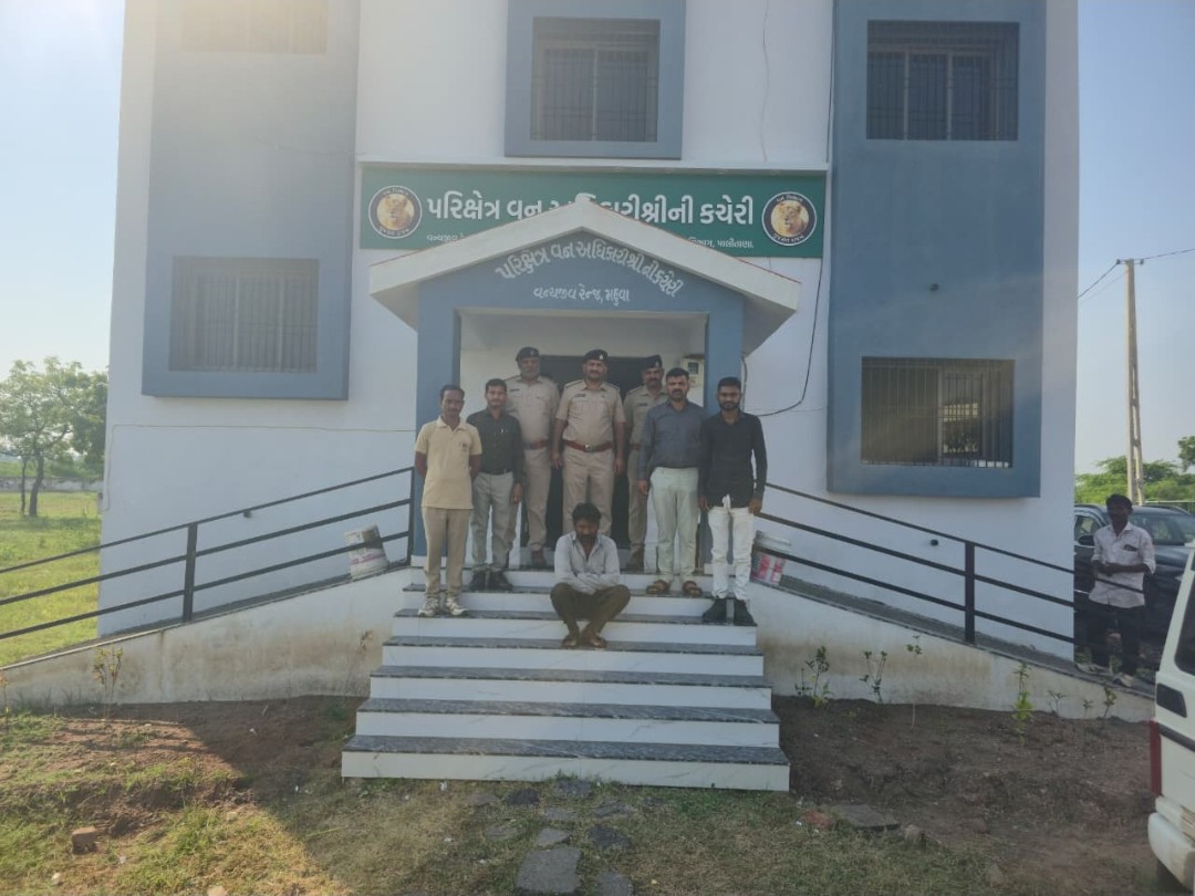 Poucoin Mahuva Porcupine Poaching Case: Court Denies Bail, Accused Sent To Jail