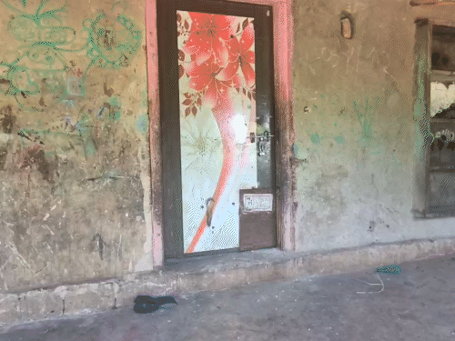 Gir Somnath Kodinar Lion Attack : સિંહણના હુમલામાં યુવકનું મોત! પરિવારજનોનો મૃતદેહ સ્વીકારવાનો ઇનકાર, ઘટનાથી વિસ્તારમાં ચકચાર 3 મૃતક યુવકનું ઘર.
