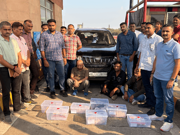 Massive Drug Seizure in Ahmedabad: 