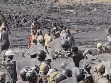 अमेरा गांव के ग्रामीण खदान विस्तार का विरोध कर रहे हैं। - Dainik Bhaskar