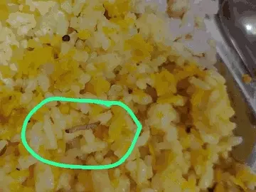 खंडवा : कलेक्टर से शिकायत पर वार्डन कर रही टॉर्चर, पेपर में छपवाई ग़लत जानकारी