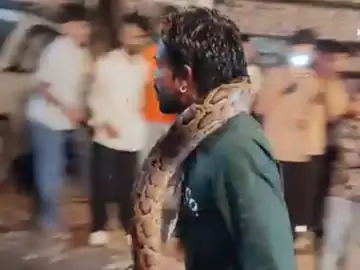 गले में विशाल अजगर लपेटकर सड़कों पर घूम रहा था युवक, वीडियो वायरल होने के बाद वन विभाग ने शुरू की जांच
