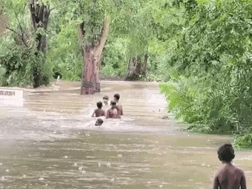 गरियाबंद के बेलाट नाला में बढ़ते जलस्तर के बीच बच्चे जान जोखिम में डालकर नहाते नजर आए। - Dainik Bhaskar