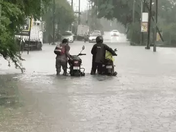 रायपुर के भाठागांव इलाके में जलभराव। - Dainik Bhaskar