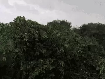 रायपुर में बुधवार दिनभर बारिश होती रही, गुरुवार सुबह भी बूंदाबांदी जारी है। - Dainik Bhaskar