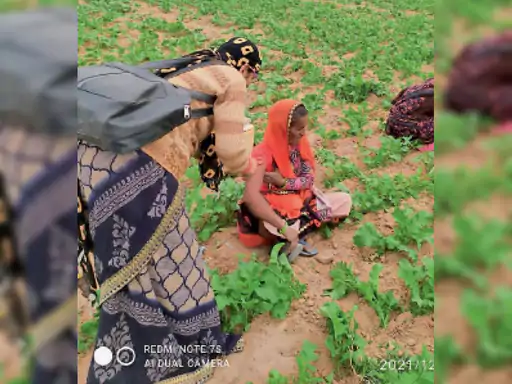 ओमिक्रॉन से बचाव के लिए टीमों ने घर-घर और खेतों में जाकर लोगों को लगाई वैक्सीन