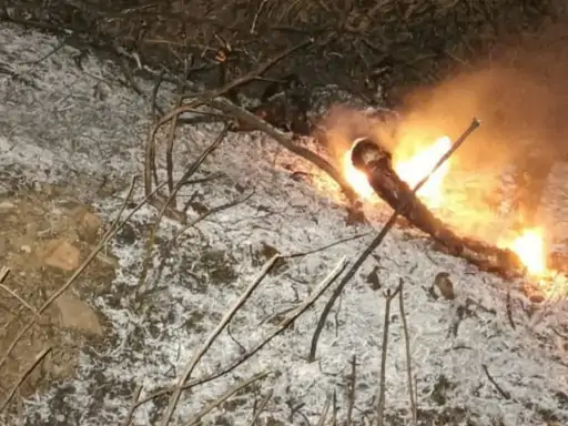 युवक ने पेट्रोल छिड़ककर खुद को लगाई आग लोगों को कटीली झाड़ियों के बीच जलता दिखा, मौके पर खड़ी बाइक से हुई पहचान