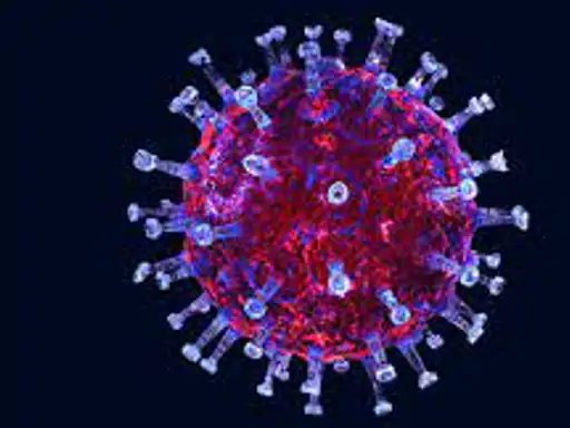 भरतपुर में मिले कोरोना के 741 मरीज तीसरी लहर में हुई दूसरी मौत, एक्टिव केसों की संख्या हुई 4 हजार 2 सौ 17