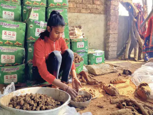 15 साल की बेटी के जज्बे को सलाम पिता की सड़क हादसे में मौत के बाद मां ने मानसिक संतुलन खोया; 15 साल की बेटी फैक्ट्री शुरू कर चुका रही 19 लाख कर्ज