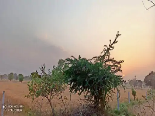 पश्चिमी गर्म हवाएं अब पूर्वी राजस्थान को भी झुलसाएंगी इस सीजन में पहली बार...दिन का पारा 40 पार, अगले तीन दिन तक चलेगी लू