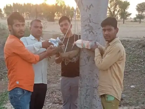 पक्षियों के लिए की पेयजल व्यवस्था नेहरू युवा केंद्र के स्वयंसेवकों ने पक्षियों के लिए बांधे परिंडे