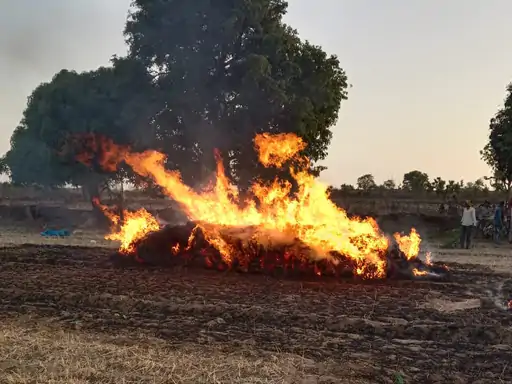 खेत में लगी आग गेहूं की 30 बोरी जलकर राख, आग को देखकर बेसुध हुई विधवा महिला किसान, मुआवजे की मांग