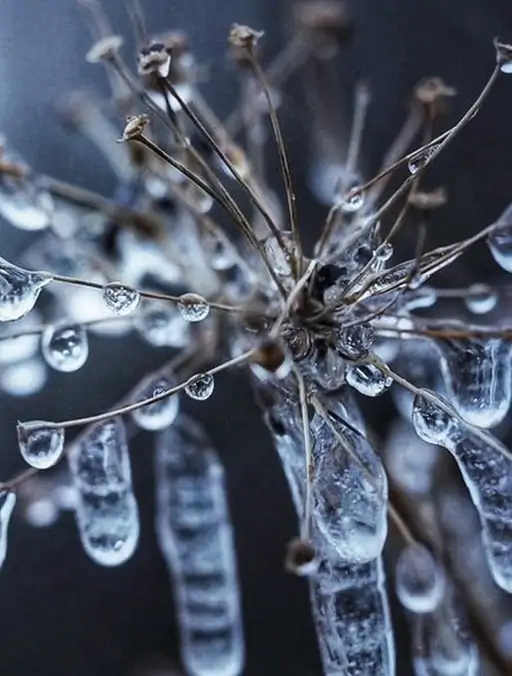 राजस्थान में दो दिन बारिश की संभावना:7 जिलों में बदल सकता है मौसम, जयपुर में हुई बूंदाबांदी