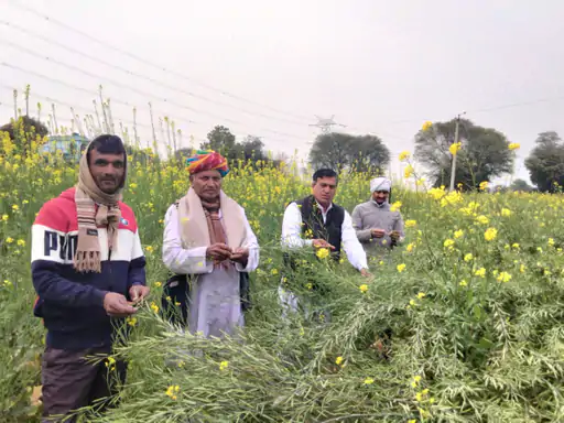किसानों को मुआवजा देने की मांग:बानसूर में सपा प्रदेशाध्यक्ष ने धरने की चेतावनी, कहा-80 फीसदी से अधिक किसानों की फसलों को नुकसान