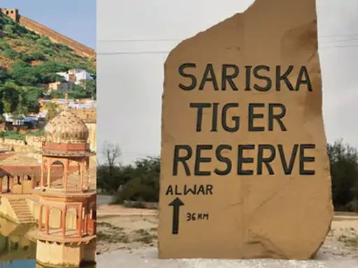 सरिस्का में सफारी महंगी:10 से 15 पर्सेंट तक किराया बढ़ाया, अब जिप्सी का किराया 7 हजार रुपए