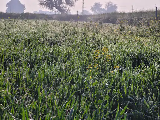 कड़ाके की ठंड से लोगों को राहत:रात का तापमान 10 डिग्री और दिन का पारा 22 डिग्री सेल्सियस तक पहुंचा