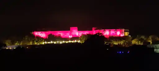 कियारा-सिड के हाथों में सजी मेहंदी:म्यूजिक पार्टी में दी स्पेशल परफॉर्मेंस; शाहिद-मीरा, करण जौहर, जूही चावला ने भी डांस किया