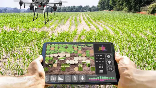 खेती में देखिए 7 नए ट्रेंड्स:मॉडर्न एग्रीकल्चर है बढ़िया करिअर ऑप्शन, नई तकनीकें बढ़ा रही हैं खेती में फायदा