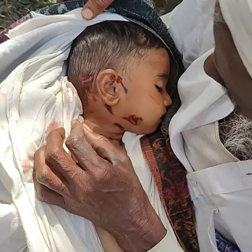 लेपर्ड ने बच्चे को मारा, दादा शव लिए बैठे रहे:बेटे को बचाने 1 किलोमीटर तक दौड़ी मां, पिता बोले- अब जी कर क्या करेंगे