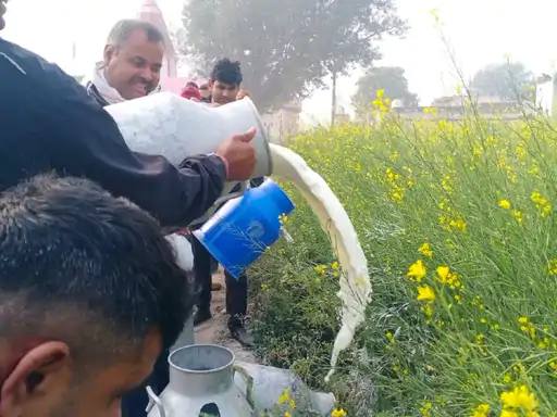 दूध-पनीर में ऐसी मिलावट कि हाईटेक मशीनें भी फेल:'सफेद जहर' ऐसा, आ सकता है हार्ट अटैक-लकवा; वो शहर जहां सबसे ज्यादा बन रहा