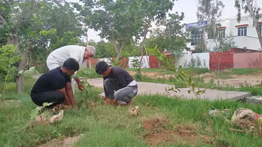 मिशन ग्रीन के तहत 250 से अधिक पौधे लगाकर किया पौधरोपण