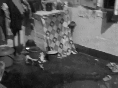 बुलंदशहर में चाकू से गला रेता:छेड़छाड़ करने पर बहन ने भाई को मार डाला,फिर मां को घटनास्थल पर छोड़कर फरार...TV Newsकल तक
