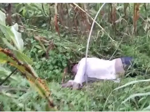 बुलंदशहर में टूटा बिजली का तार गिरने से हादसा:खेत में चारा लेने गए किसान की मौत,विद्युत विभाग की लापरवाही...TV Newsकल तक