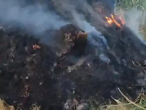 भंडोली में भूसे के ढेर में लगी आग:दमकल ने पाया आग पर काबू,पशुपालक को हजारों रुपए का नुकासन...TV Newsकल तक