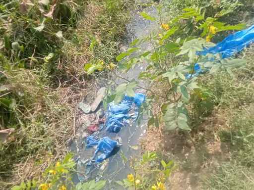 गुलावठी में भंवरा सरकारी स्कूल के पीछे गंदगी:सिंचाई विभाग का नाला बना ‘मिनी काली नदी,छात्रों में बीमारी का खतरा; भाकियू ने दी चेतावनी...TV Newsकल तक