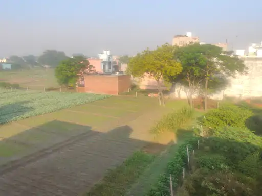 अनूपशहर प्रथम:जिला स्तरीय एथलेटिक्स प्रतियोगिता संपन्न,डिबाई द्वितीय स्थान पर रहा...TV Newsकल तक