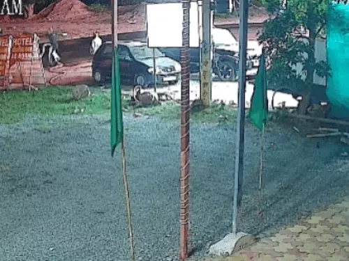 गाड़ी सवार बदमाशों ने होटल कर्मचारी को टक्कर मारी :सीकर में एक दिन पहले बिना आईडी होटल रूम देने पर हुआ विवाद, दूसरे दिन बदला लेने आए