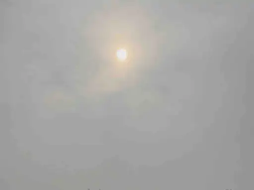 बुलंदशहर में सुबह घनी धुंध छाई:दृश्यता घटने से लोगों को परेशानी हुई,पारे में भी गिरावट,वाहन धीमी गति से चले...TV Newsकल तक