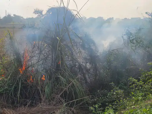 औरंगाबाद में किसान जला रहे पराली:प्रशासन सख्त,वायु प्रदूषण बढ़ने से स्वास्थ्य पर खतरा...TV Newsकल तक