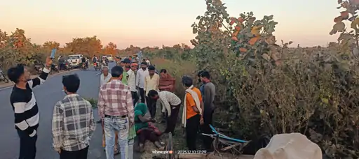 ट्रक-बैलगाड़ी की जोरधार टक्कर में एक की मौत