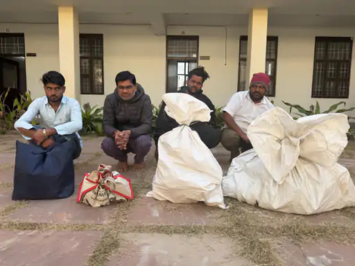 चाइनीज मांझे के खिलाफ पुलिस की कार्रवाई:मकर संक्रांति से पहले चार लोग गिरफ्तार, चाइनीज मांझा जब्त चाइनीज मांझे के खिलाफ पुलिस की कार्रवाई:मकर संक्रांति से पहले चार लोग गिरफ्तार, चाइनीज मांझा जब्त