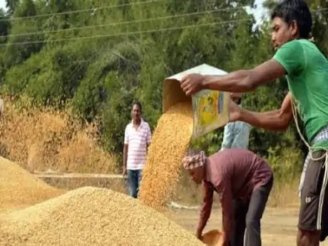 64 किसानों की धान खरीदी पर कलेक्टर ने लगाई रोक