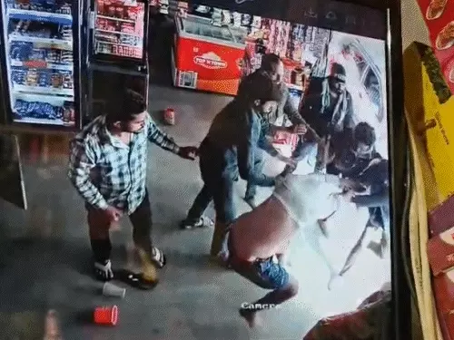 नर्मदापुरम में बदमाशों के होसले बुलंद, युवक को दुकान में नंगा कर मारा – देखें CCTV