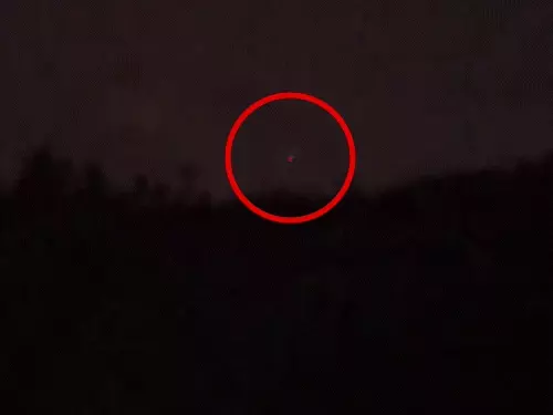 जम्मू-कश्मीर में LoC के पास दिखे संदिग्ध पाकिस्तानी ड्रोन