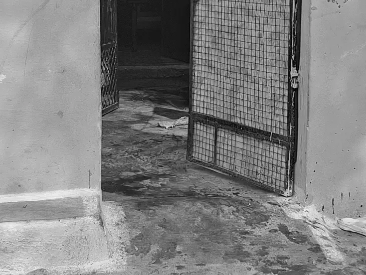 जबलपुर ब्रेकिंग : दिनदहाड़े युवक की चाकू मारकर हत्या