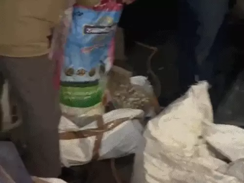Fake liquor cap making material caught in Dundlod: Holograms of more than 10 brands were also found, the accused is absconding