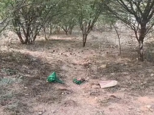 झाड़ियों में मिला नवजात का शव, इलाके में फैली सनसनी