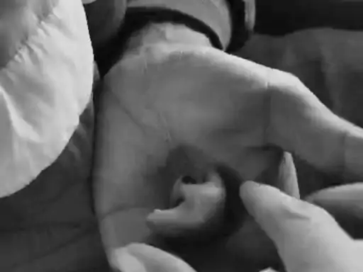 पत्नी की दूसरी शादी से नाराज जीजा ने साले की नाक काटी