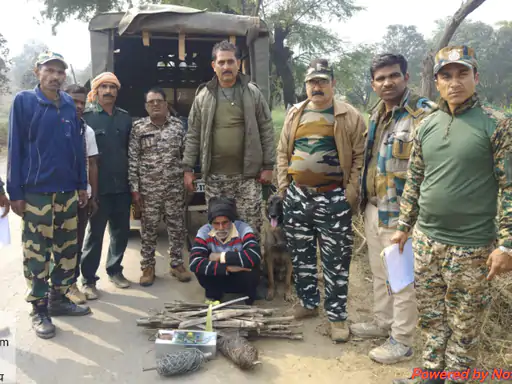 करंट की चपेट में आने से नीलगाय की मौत, आरोपी गिरफ्तार