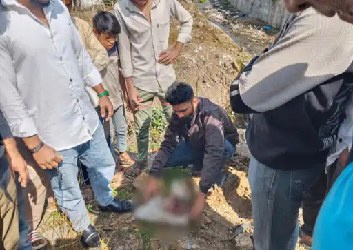 कलेक्टर बंगले के पास नाले में मिला भ्रूण, शहर में सनसनी