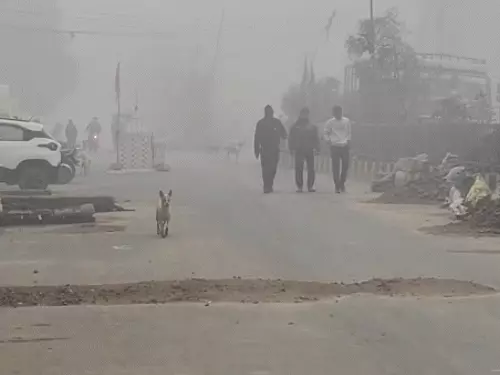 ब्रेकिंग न्यूज़ : MP में भोपाल-भिंड समेत कई जिलों में बारिश छाया घना कोहरा