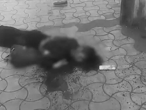 ब्रेकिंग न्यूज़ : बीच बाजार में युवती की हत्या, गली में तड़पता छोड़ भागा