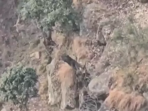 ब्रेकिंग न्यूज : सेना ने जैश के 2 आतंकियों को ग्रेनेड से उड़ाया, वीडियो आया सामने