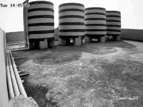 घर की छत पर हिस्ट्रीशीटर बना रहा था बम, हो गया ब्लास्ट, 2 की मौत